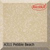 a311 pebble beach