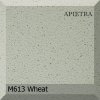 m613 wheat 